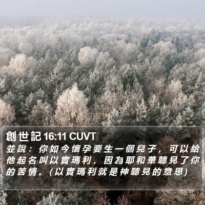 創 世 記 16:11 CUVT Bible Verse Image