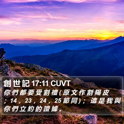 創 世 記 17:11 CUVT Bible Verse Image