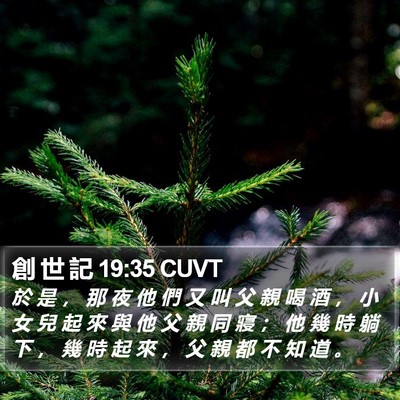 創 世 記 19:35 CUVT Bible Verse Image