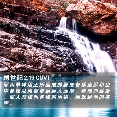 創 世 記 2:19 CUVT Bible Verse Image