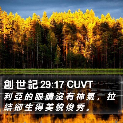 創 世 記 29:17 CUVT Bible Verse Image