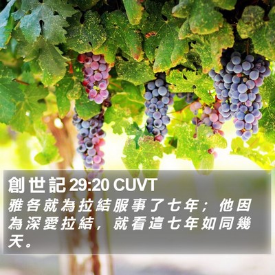 創 世 記 29:20 CUVT Bible Verse Image