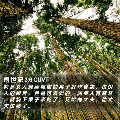 創 世 記 3:6 CUVT Bible Verse Image