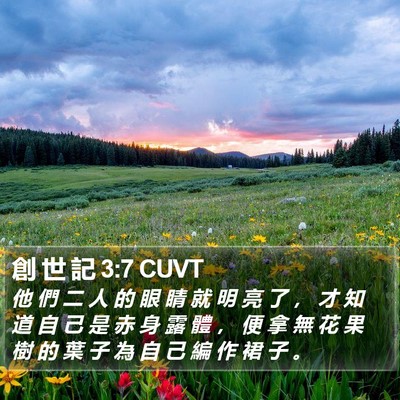 創 世 記 3:7 CUVT Bible Verse Image