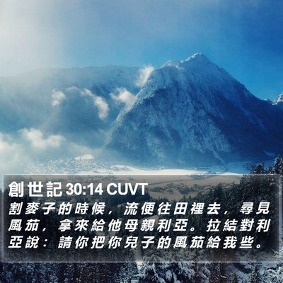 創 世 記 30:14 CUVT Bible Verse Image