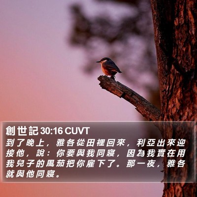 創 世 記 30:16 CUVT Bible Verse Image