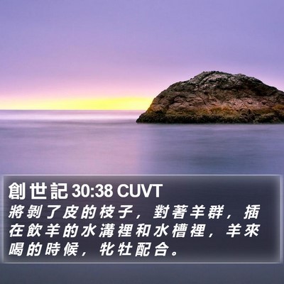 創 世 記 30:38 CUVT Bible Verse Image