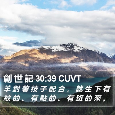 創 世 記 30:39 CUVT Bible Verse Image