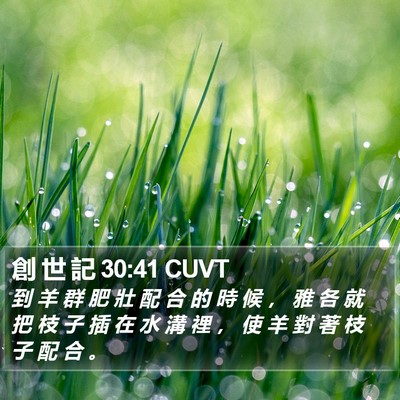 創 世 記 30:41 CUVT Bible Verse Image