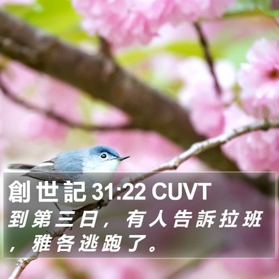 創 世 記 31:22 CUVT Bible Verse Image