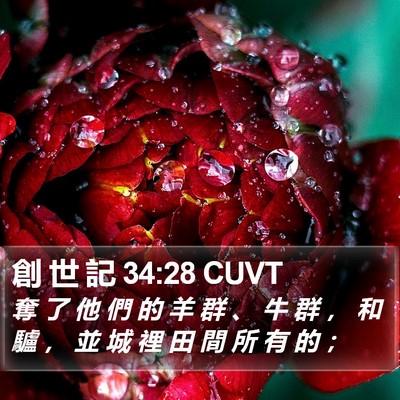 創 世 記 34:28 CUVT Bible Verse Image