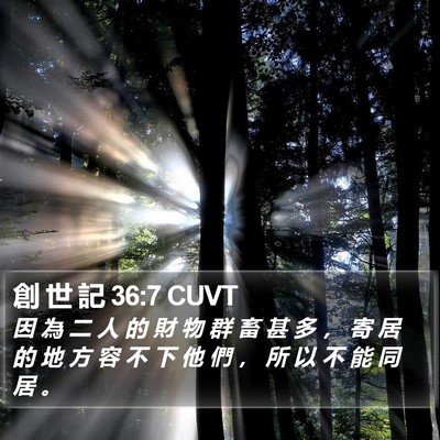 創 世 記 36:7 CUVT Bible Verse Image