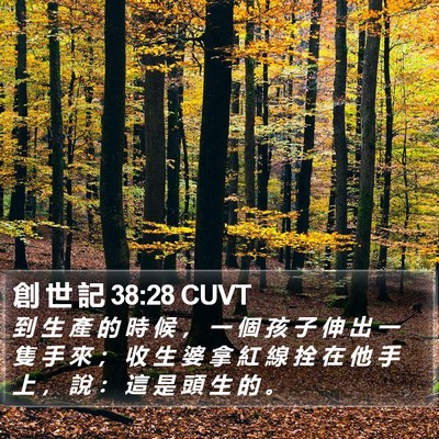創 世 記 38:28 CUVT Bible Verse Image