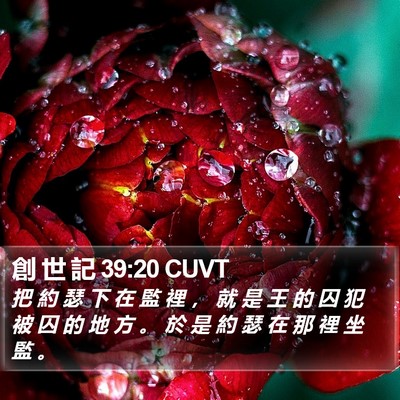創 世 記 39:20 CUVT Bible Verse Image