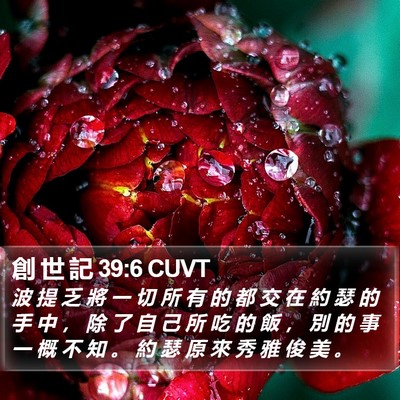 創 世 記 39:6 CUVT Bible Verse Image