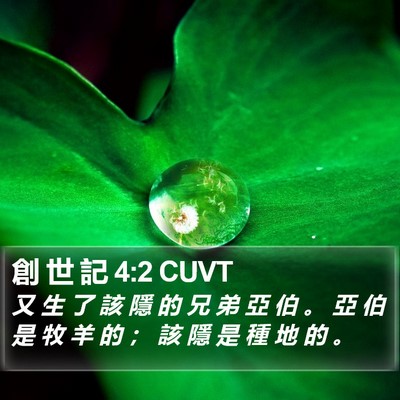 創 世 記 4:2 CUVT Bible Verse Image