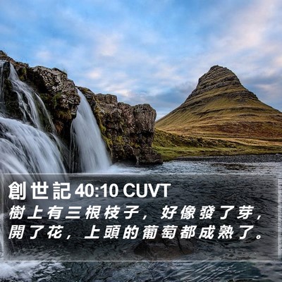創 世 記 40:10 CUVT Bible Verse Image