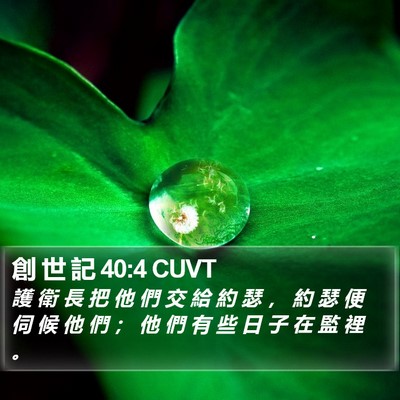 創 世 記 40:4 CUVT Bible Verse Image