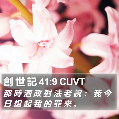 創 世 記 41:9 CUVT Bible Verse Image