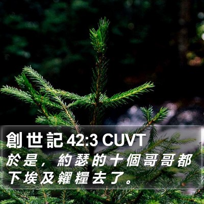 創 世 記 42:3 CUVT Bible Verse Image
