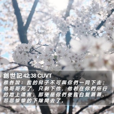 創 世 記 42:38 CUVT Bible Verse Image