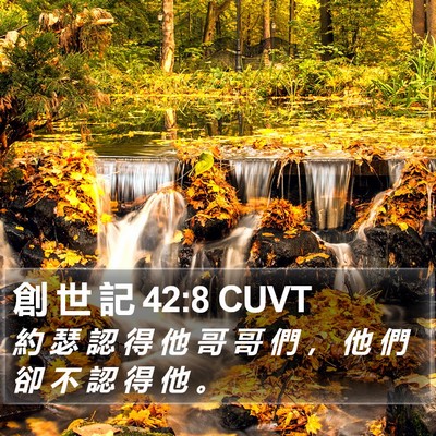 創 世 記 42:8 CUVT Bible Verse Image