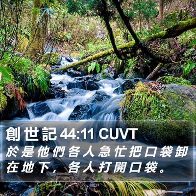 創 世 記 44:11 CUVT Bible Verse Image