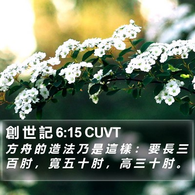 創 世 記 6:15 CUVT Bible Verse Image