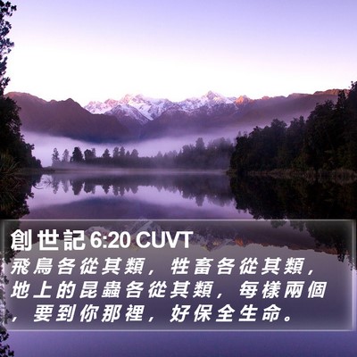 創 世 記 6:20 CUVT Bible Verse Image