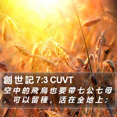 創 世 記 7:3 CUVT Bible Verse Image