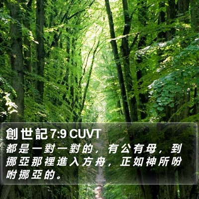 創 世 記 7:9 CUVT Bible Verse Image