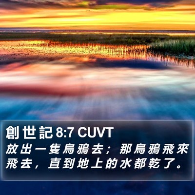 創 世 記 8:7 CUVT Bible Verse Image