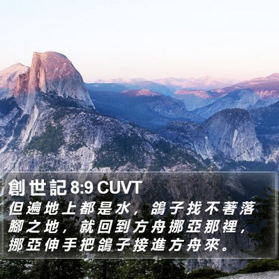 創 世 記 8:9 CUVT Bible Verse Image