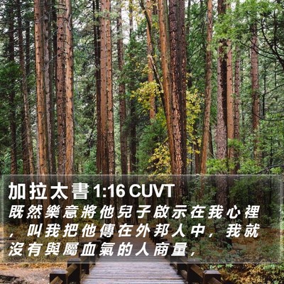 加 拉 太 書 1:16 CUVT Bible Verse Image
