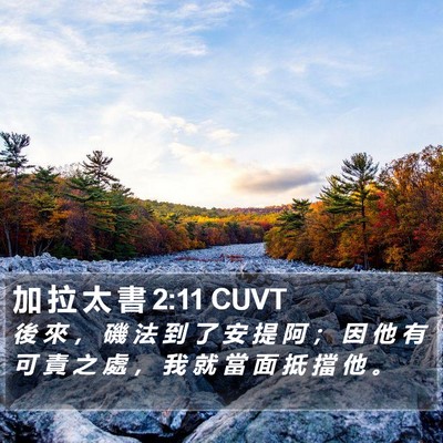加 拉 太 書 2:11 CUVT Bible Verse Image