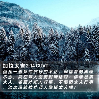 加 拉 太 書 2:14 CUVT Bible Verse Image