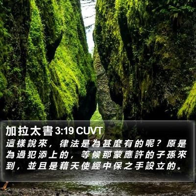 加 拉 太 書 3:19 CUVT Bible Verse Image