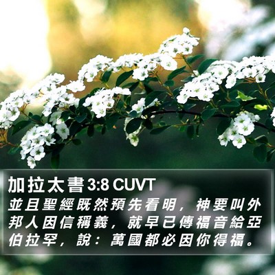 加 拉 太 書 3:8 CUVT Bible Verse Image