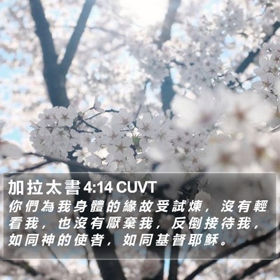 加 拉 太 書 4:14 CUVT Bible Verse Image