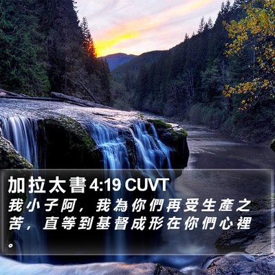 加 拉 太 書 4:19 CUVT Bible Verse Image
