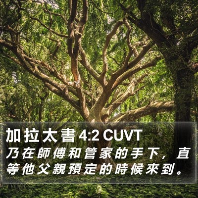 加 拉 太 書 4:2 CUVT Bible Verse Image
