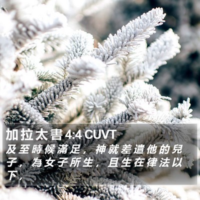 加 拉 太 書 4:4 CUVT Bible Verse Image