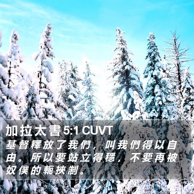 加 拉 太 書 5:1 CUVT Bible Verse Image