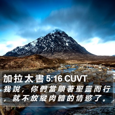 加 拉 太 書 5:16 CUVT Bible Verse Image