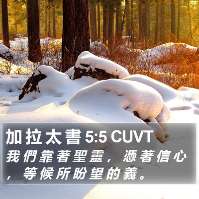 加 拉 太 書 5:5 CUVT Bible Verse Image