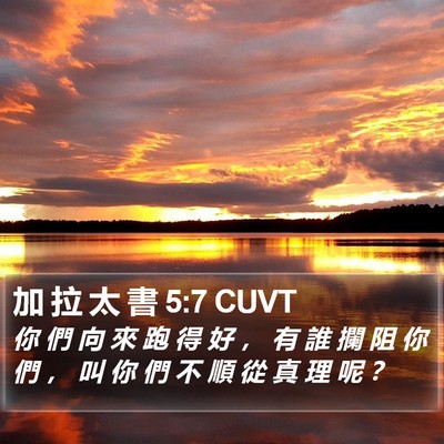 加 拉 太 書 5:7 CUVT Bible Verse Image