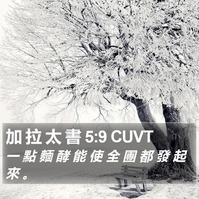 加 拉 太 書 5:9 CUVT Bible Verse Image