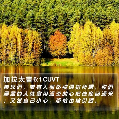 加 拉 太 書 6:1 CUVT Bible Verse Image