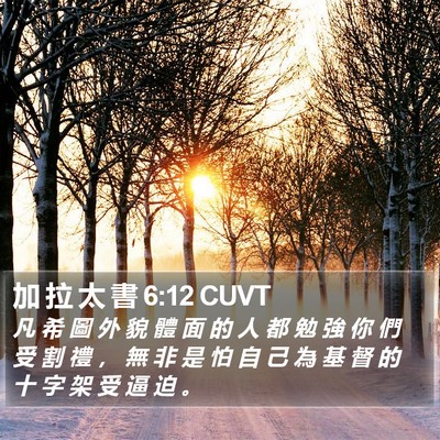 加 拉 太 書 6:12 CUVT Bible Verse Image
