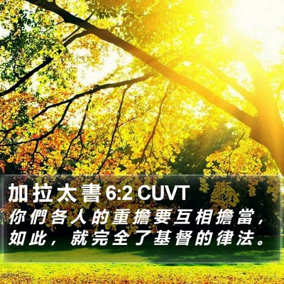 加 拉 太 書 6:2 CUVT Bible Verse Image